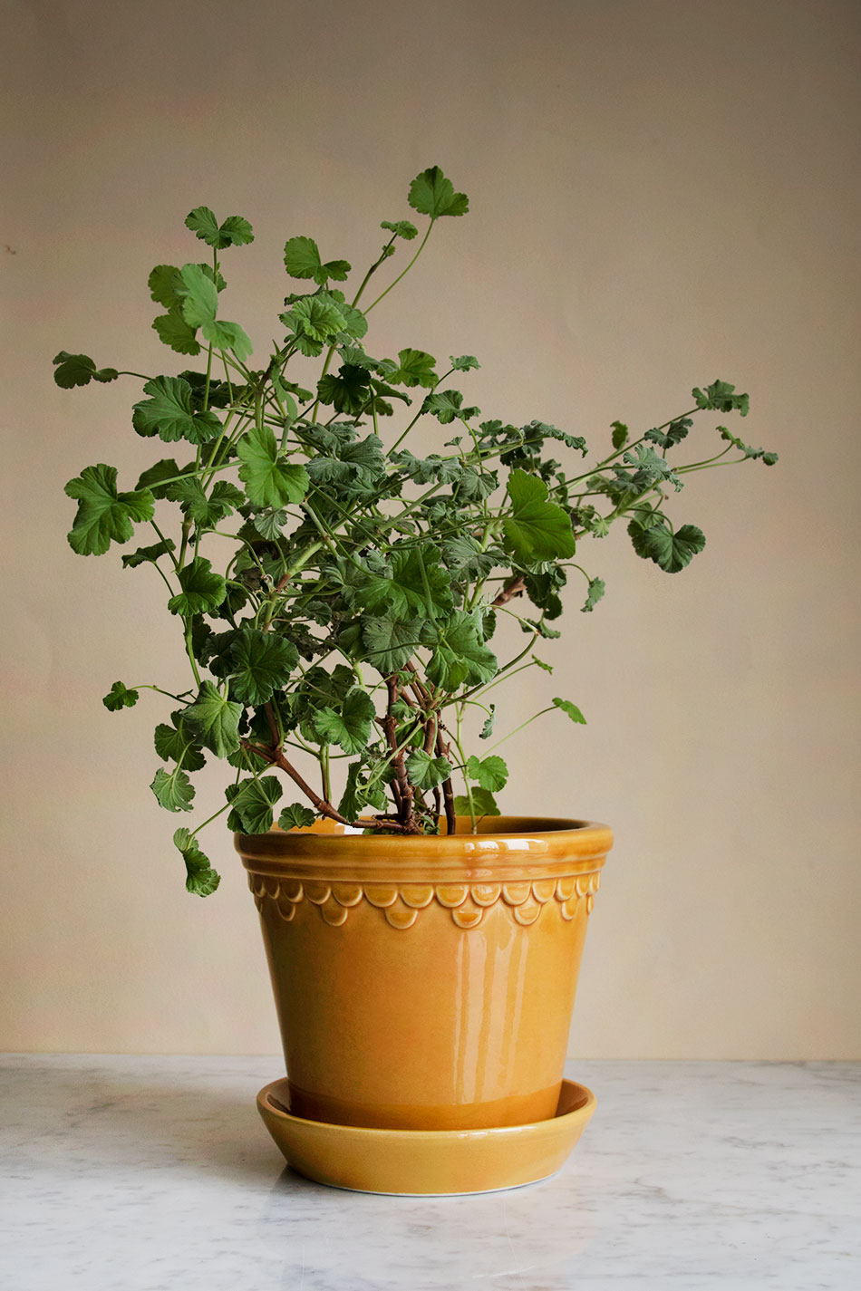 Kruka Köpenhamn Gul 18cm