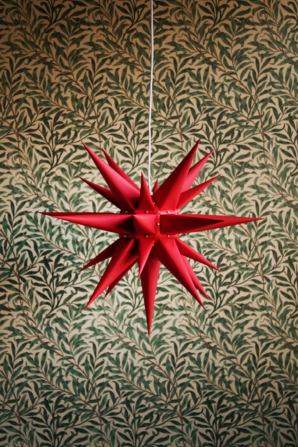 Moravia Star Red 60cm
