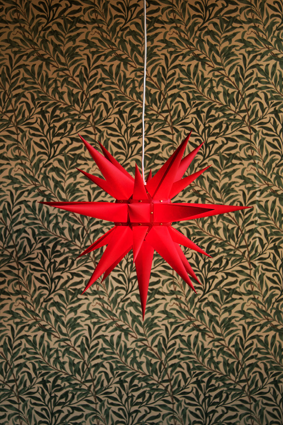 Moravia Star Red 60cm