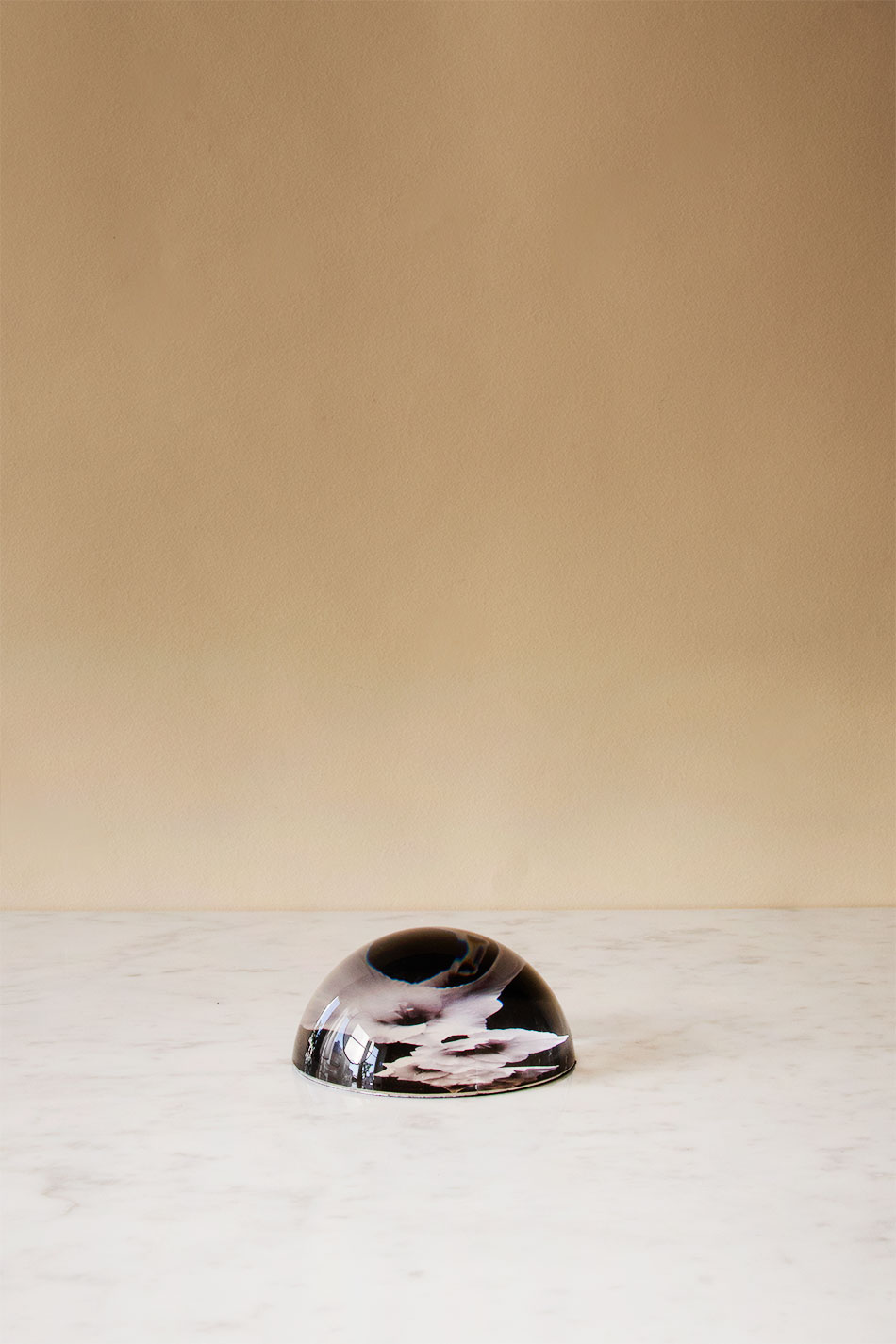 Vegetale Glaieul Dome Paperweight