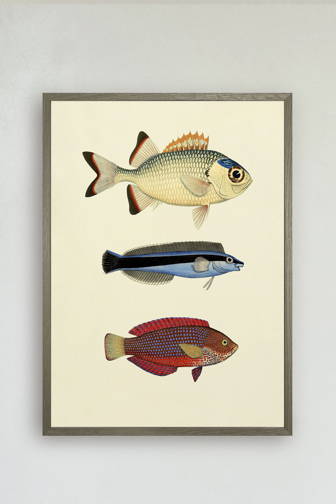 The Fishes Print #3906P