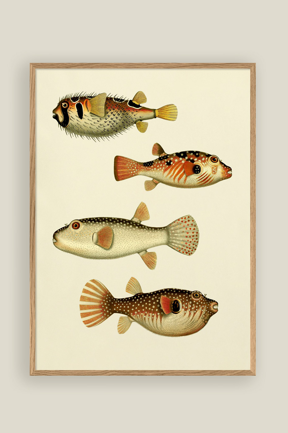 The Fishes Print 50x70cm