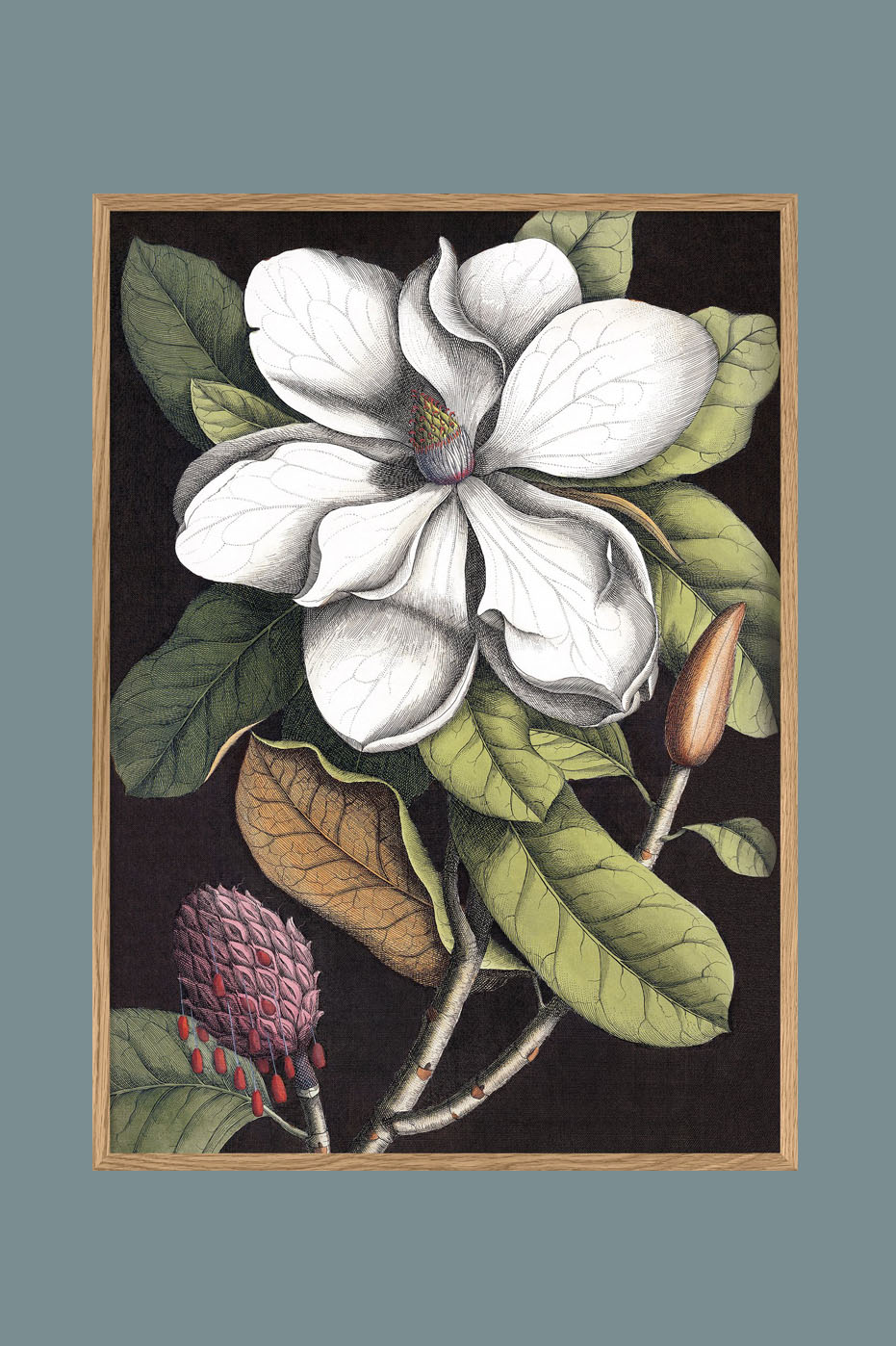 White Magnolia 50x70cm