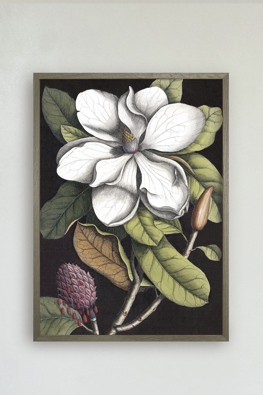 White Magnolia