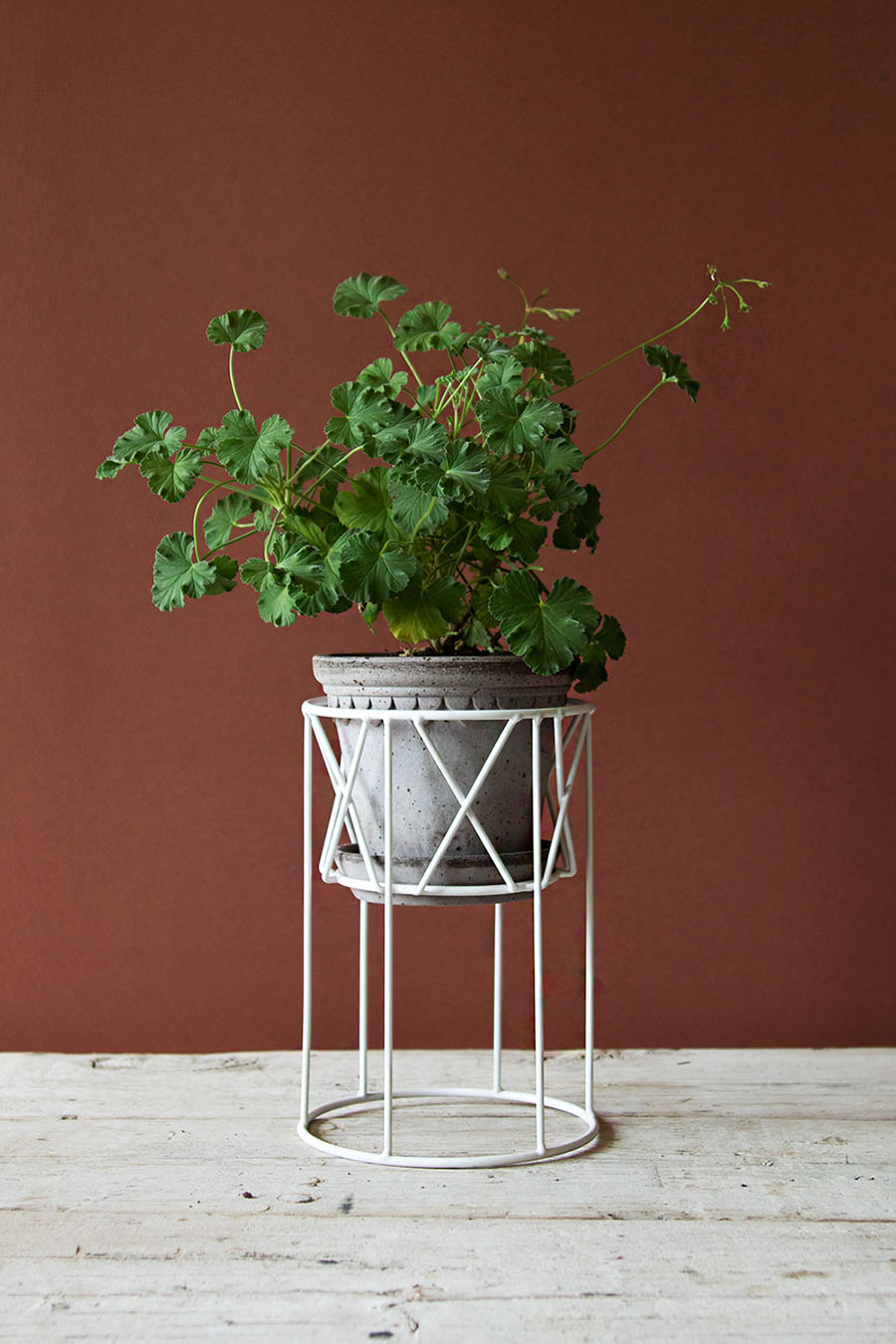 Piedestal Flora Vit Låg