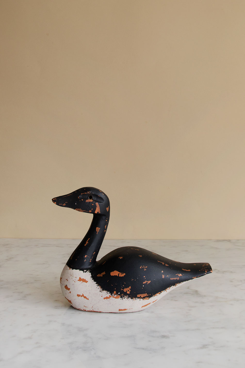 Blue White Duck