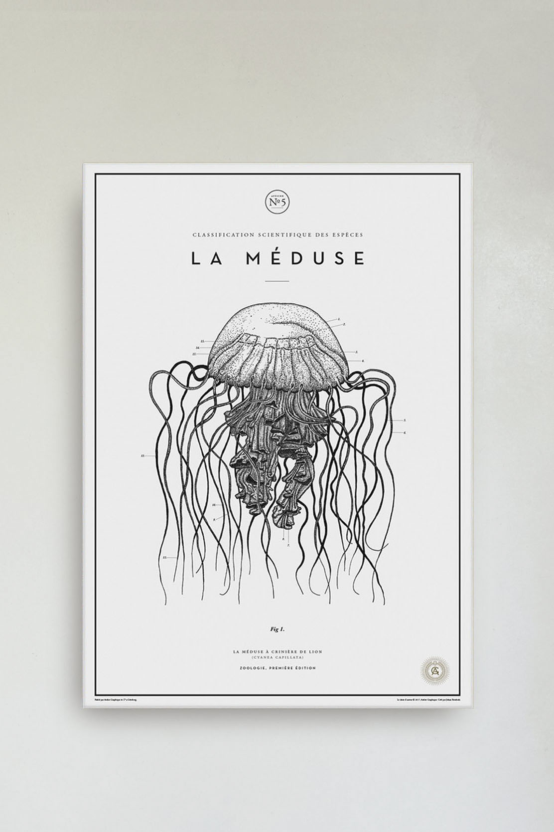 La Méduse No. 5