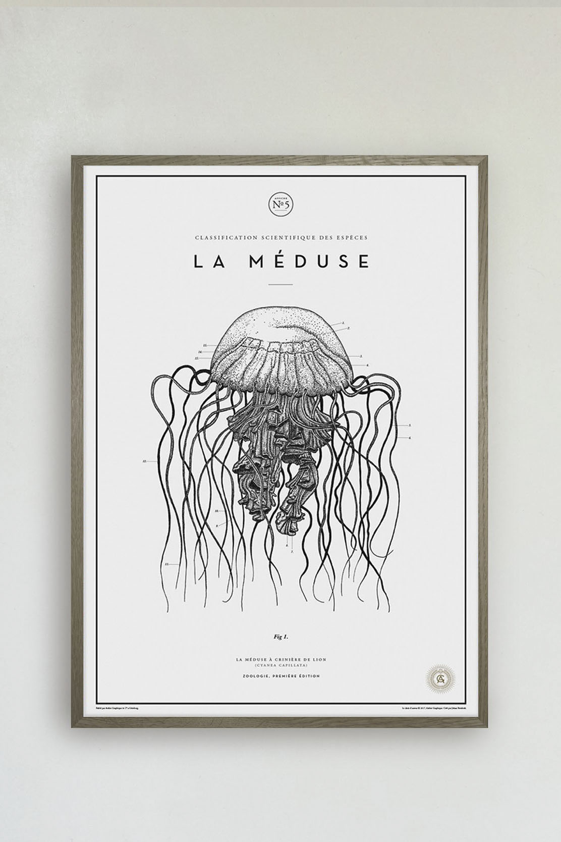 La Méduse No. 5