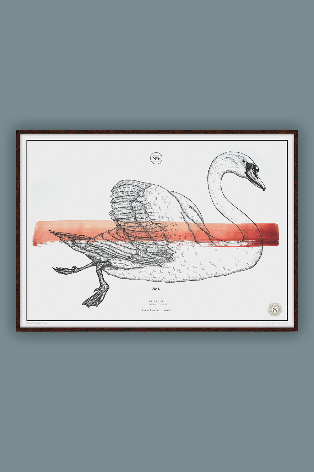 Le Cygne №.6