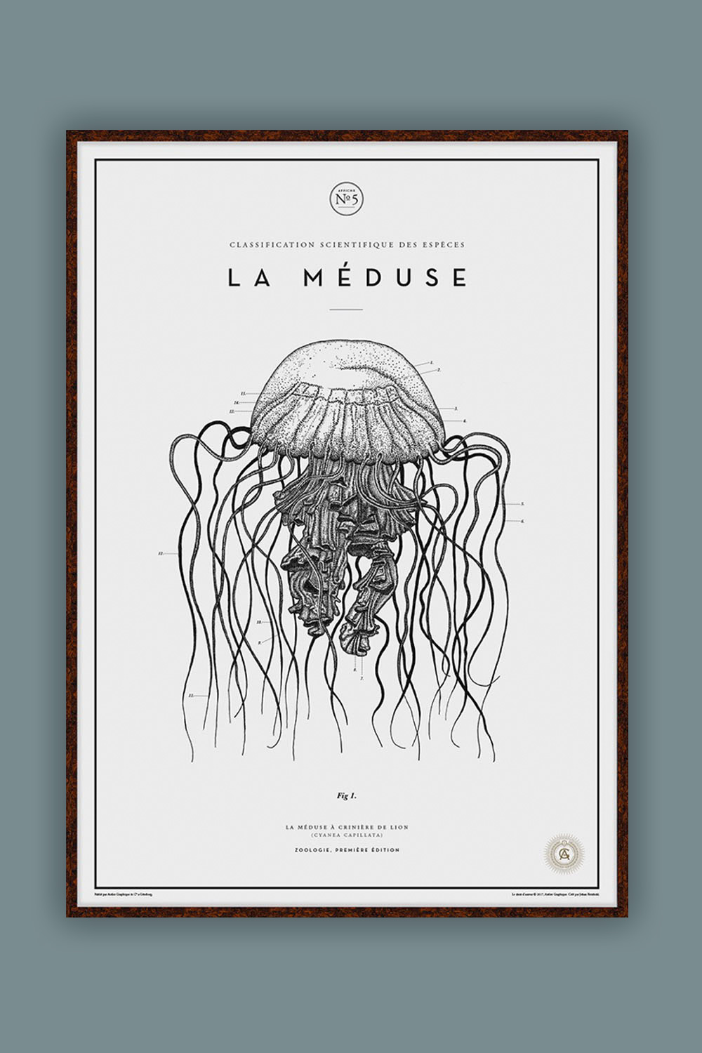 La Méduse №.5