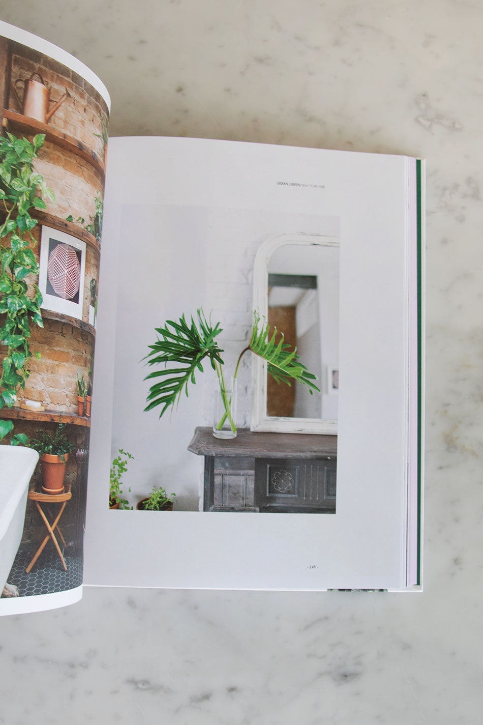 Wonderplants