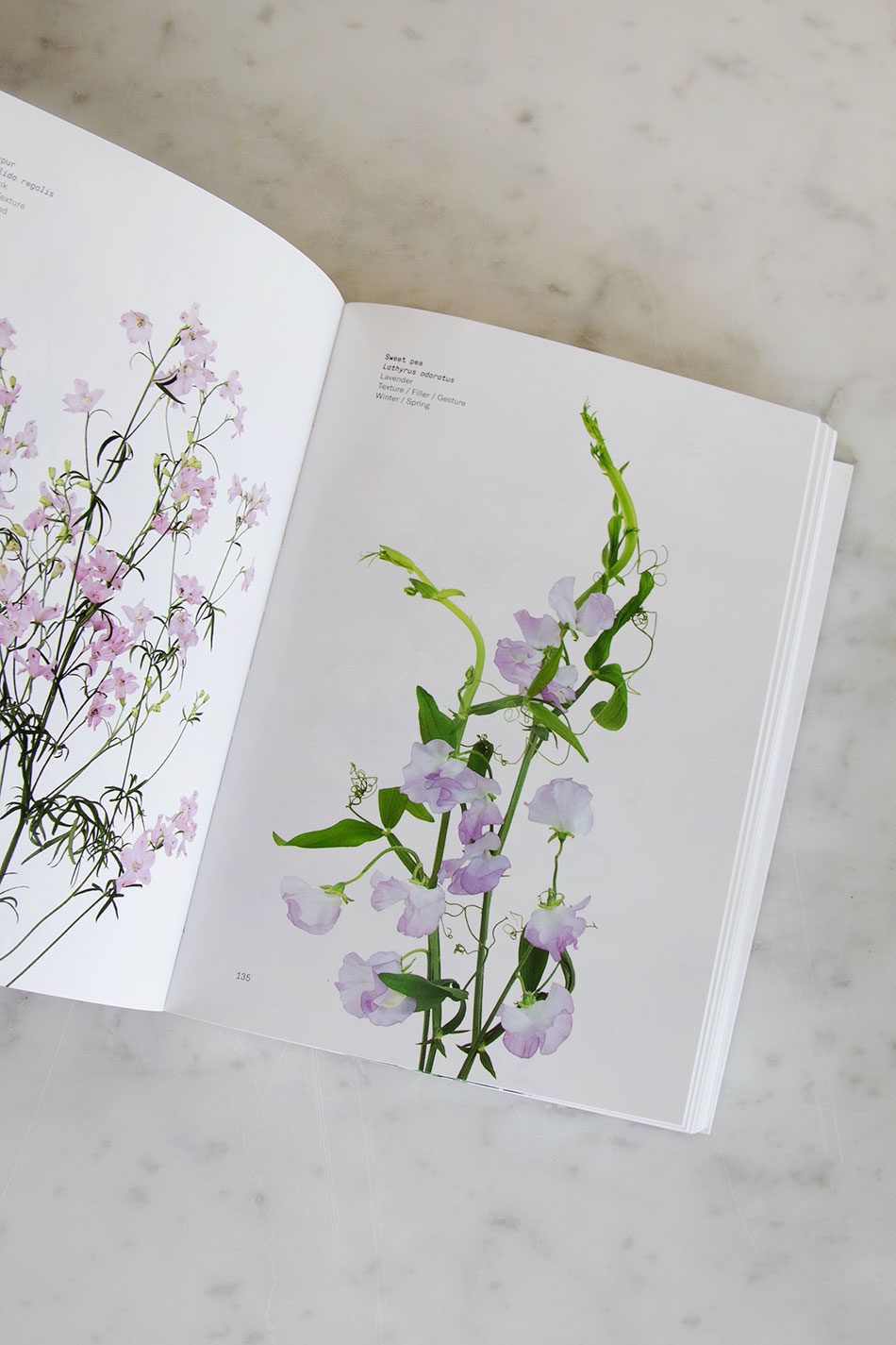 Phaidon Flower Color Guide TAMBURSTORE.SE