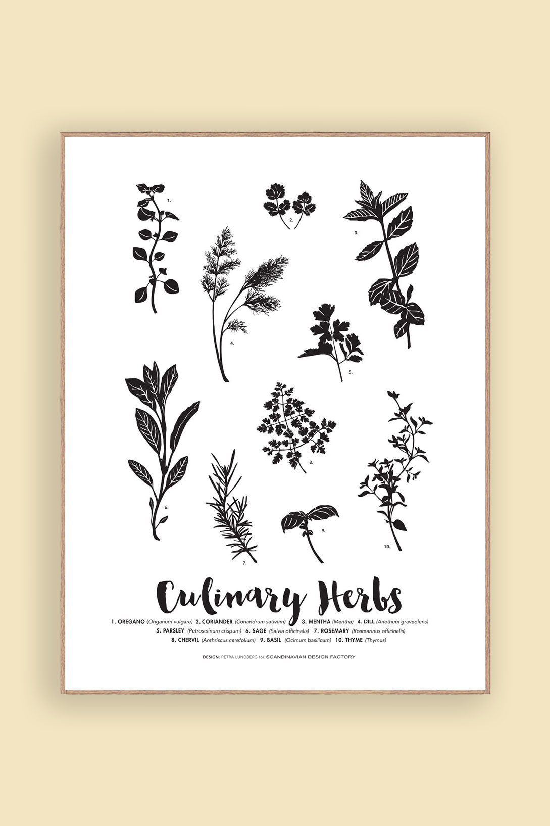 Print Culinary Herbs