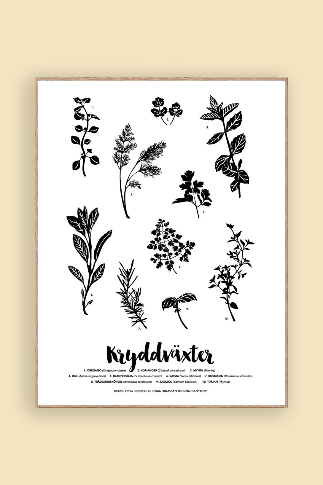 Print Kryddväxter