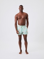 Borg Print Swim Shorts Stripe 1