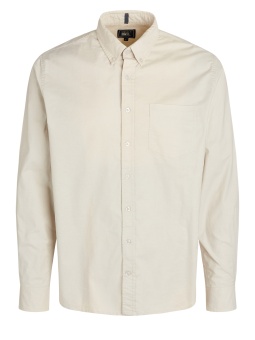 Signal Scott Oxford Creamy