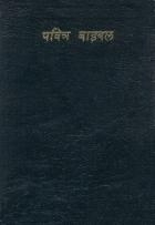 Bibel, nepali