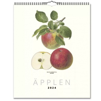 Äpplen 2024 - Design Collection