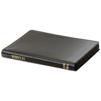 Folkbibeln 2015, slimline, konstskinn, svart med dragkedja, 140x211 mm