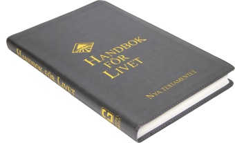 Handbok för livet: Nya Testamentet (Nya levande Bibeln) - Grå - 10:e upplagan