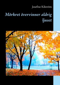 Mörkret övervinner aldrig ljuset