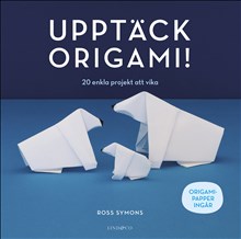 Upptäck origami!: 20 enkla projekt att vika