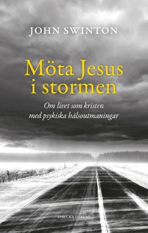 Möta Jesus i stormen: om livet som kristen med psykiska hälsoutmaningar