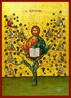 Kristus Vinträdet