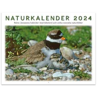 Naturkalender 2024 - Reine Jonsson