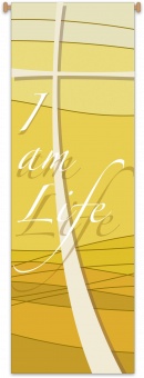 Standar I am Life