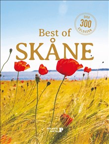 Best of Skåne : över 300 guldkorn