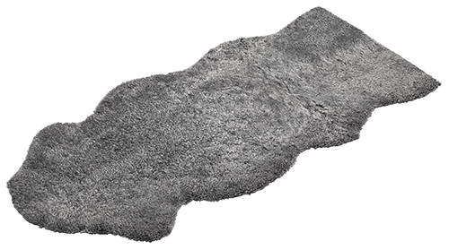 Aussie longo scand. Grey