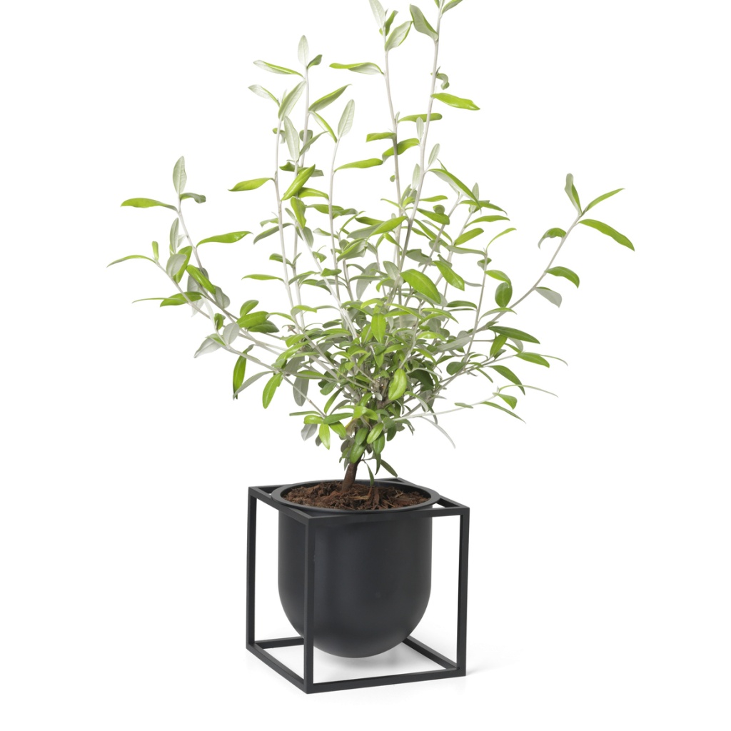By Lassen Kubus Flowerpot 14 Black