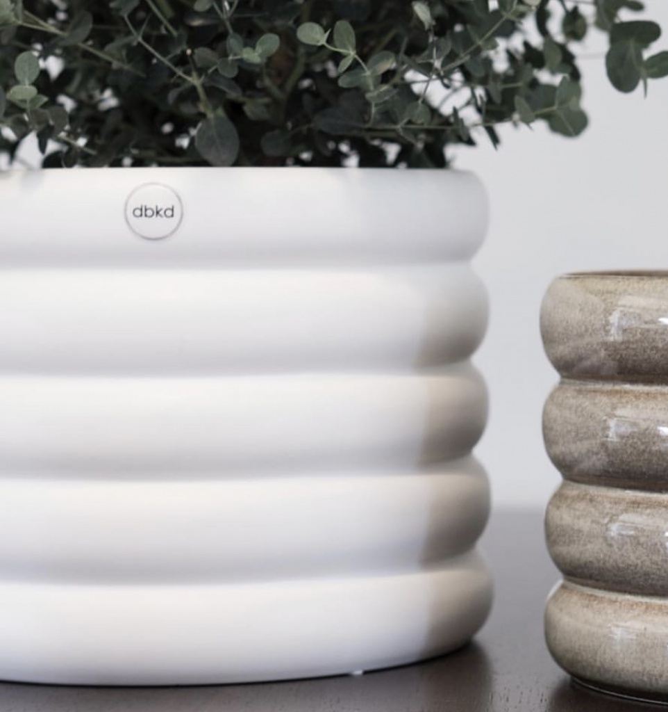 Dbkd MUD White Small