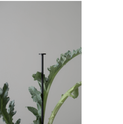 Dbkd Flower Stick