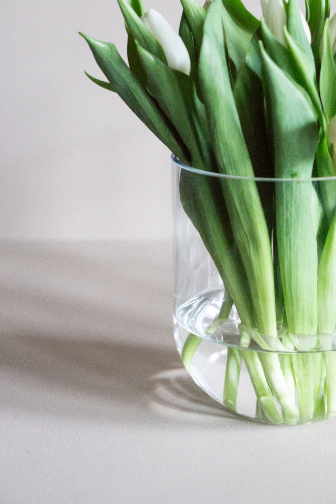 Dbkd Simple Glass Vase