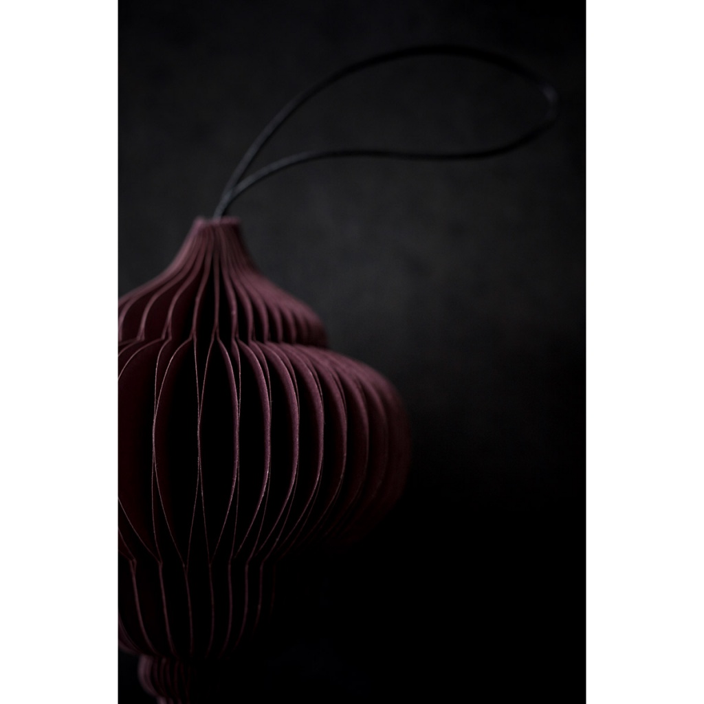 Nordstjerne Onion Dark Red