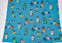 Pyjamasset - Tvättbjörnar