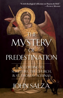 Mystery of Predestination - According to Scripture, the Church and