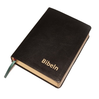 Bibel 2000 - svart skinn, guldsnitt