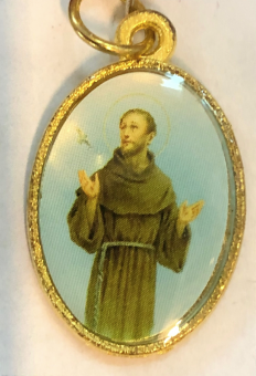 Hl Franciskus av Assisi, färg