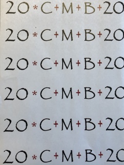 CMB-remsa 202X