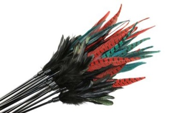 Kattvippa Mystic long feather