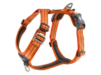 Dog Copenhagen Comfort Walk Air™ Harness Orange Sun