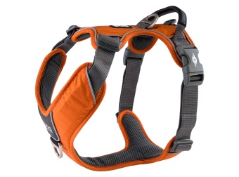 Dog Copenhagen Comfort Walk Pro™ Harness Orange Sun
