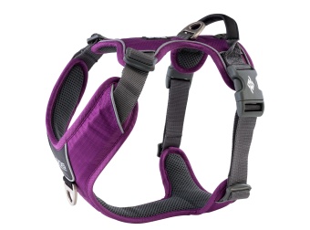 Dog Copenhagen Comfort Walk Pro™ Harness Purple Passion
