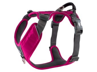 Dog Copenhagen Comfort Walk Pro™ Harness Wild Rose