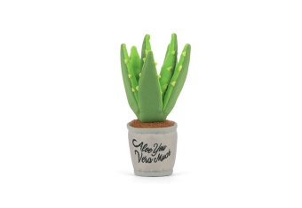 P.L.A.Y Blooming Buddies - Aloe-ve You Plant
