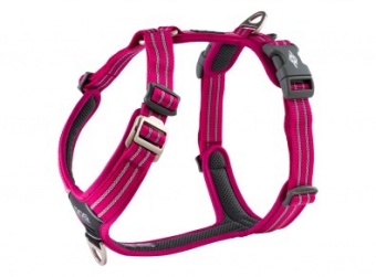 Dog Copenhagen Comfort Walk Air™ Harness Wild Rose