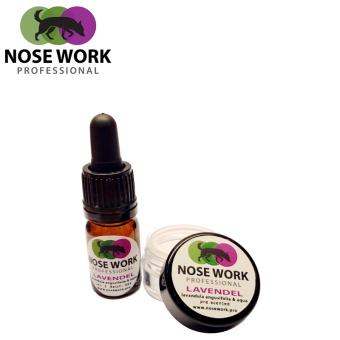 Nose Work Pre Scented Kit Lavendel PRO med magnet